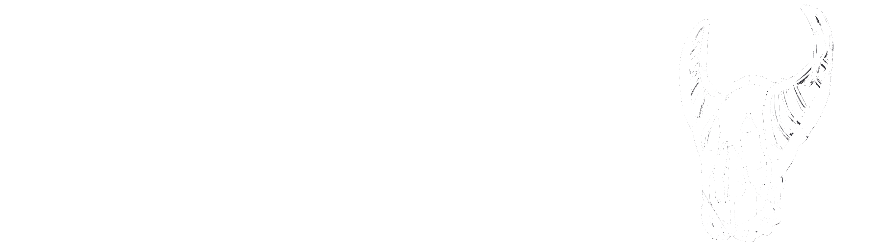 Rubicon Distribution